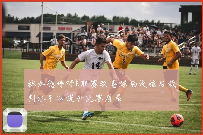 林加德呼吁K联赛改善球场设施与裁判水平以提升比赛质量