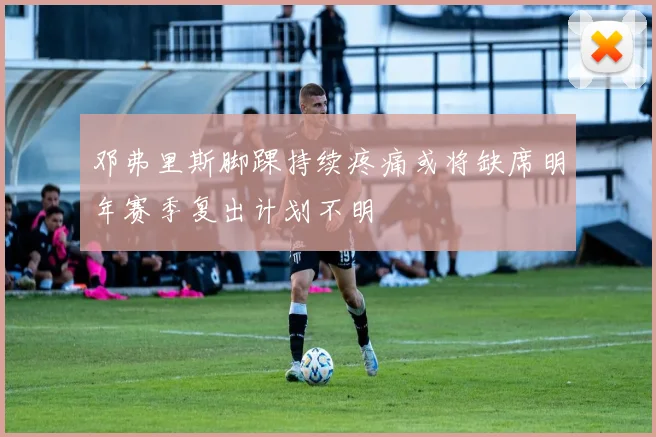 邓弗里斯脚踝持续疼痛或将缺席明年赛季复出计划不明