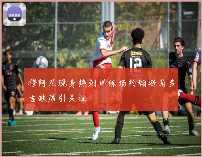 穆阿尼现身热刺训练场约翰逊乌多吉缺席引关注