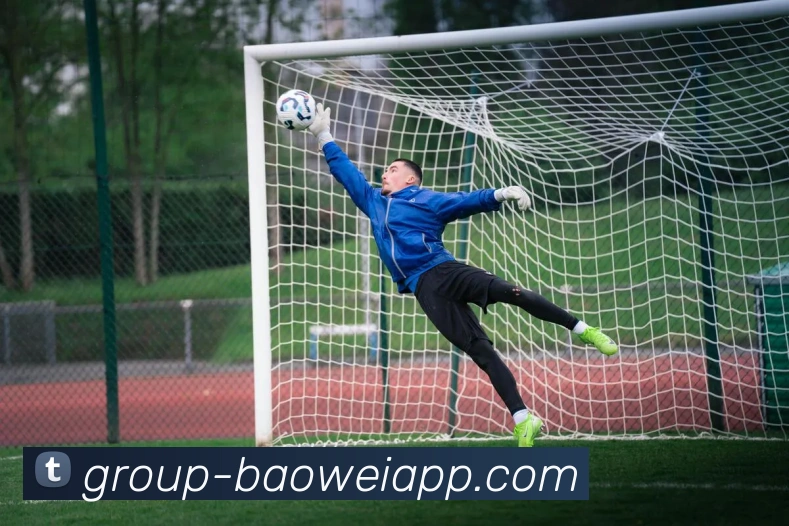 宝威体育APP 封面图